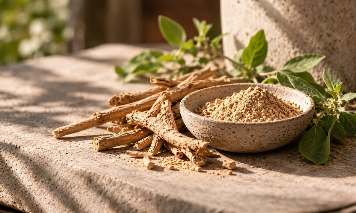 What Is Ashwagandha? A Simple Guide